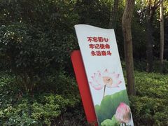 -南翔镇银翔湖公园