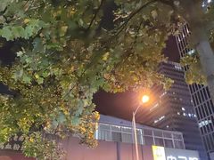 -张正麻辣烫(龙城路店)