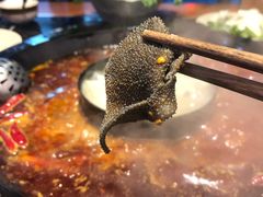鲜毛肚-桃花沅火锅(长嘉汇江景店)