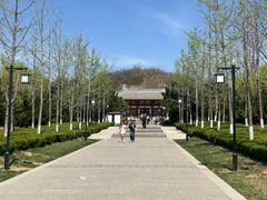 -洛阳古墓博物馆