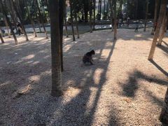-红花山公园