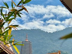 -深圳仙湖植物园