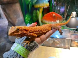 -酷嗒动物文化乐园(cutezoo西溪乐天城店)