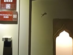 -三亚亚龙湾铂尔曼别墅度假酒店