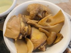 -蘑统田下·野生菌火锅