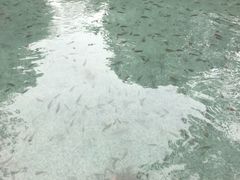 -天赐温泉
