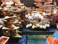 -嘉州九妹凤爪(乐山总店)