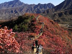 -水峪民俗村