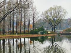 -郑州植物园