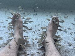 -徂徕山森林康养度假谷温泉