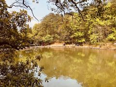 -韶山毛泽东同志故居