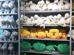 -NOME(太阳百货店)