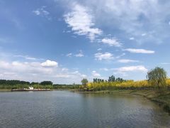 -东郊湿地公园