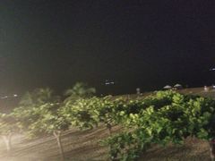 -渔家火锅·海鲜自助餐·演艺(亚龙湾天域酒店)
