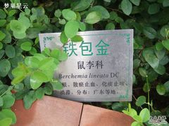 -广州神农草堂中医药博物馆