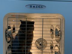 -佳雯宠物医院(金华南路分院)