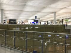 -香港国际机场-T2航站楼