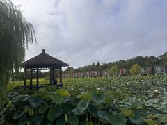 -上海怡沁园度假酒店