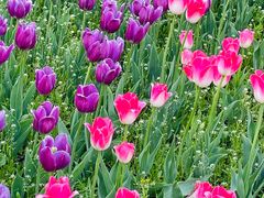 -长春公园(普阳街道)