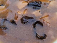 普通胡辣汤-逍遥镇刘相五胡辣汤豆沫馆(康复中街店)