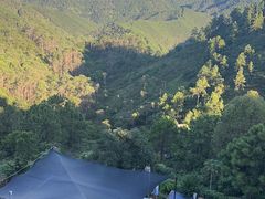 -山景山庄