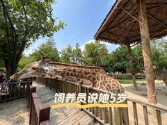 -上海野生动物园
