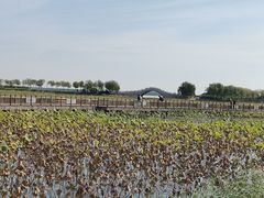 -天津东丽湖风景区