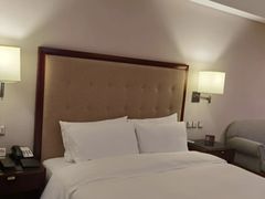 -惠州康帝国际酒店
