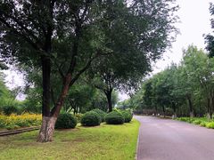 -永定河休闲森林公园