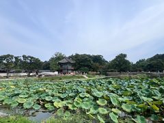 -景福宫