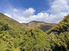 -西双版纳原始森林公园
