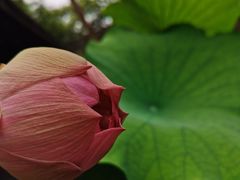 -宝光寺