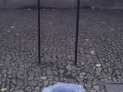 -上海市龙华烈士陵园