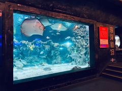 -杭州海底世界