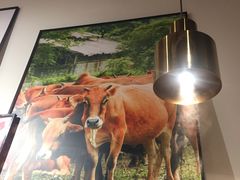 -为什么牛潮汕牛肉火锅(中信广场店)