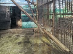 -昆明动物园