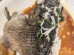 -新兴家喻酒家·羊城名宴(昌岗店)