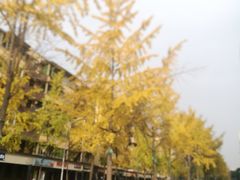 -星巴克(成都龙湖三千集店)