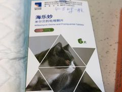 -睿金宠物医院·CT·肿瘤·骨外科