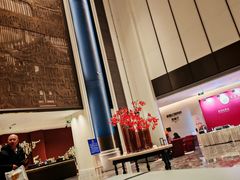 -北京东三环希尔顿逸林酒店