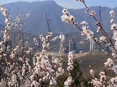 -白水寺森林公园