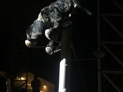 -清迈夜间动物园