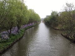 -溱湖国家湿地公园