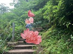 -龙窝子