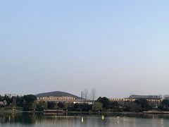 -羊山湖公园