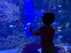 -烟台海昌鲸鲨海洋公园