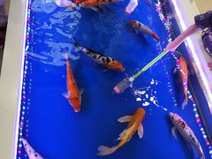 -上海颛桥万达广场