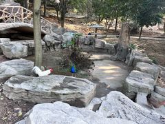 -泉州海丝野生动物世界