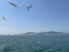 -那香海钻石沙滩浴场