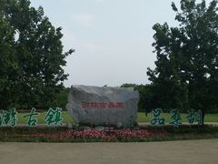 -御林古桑园